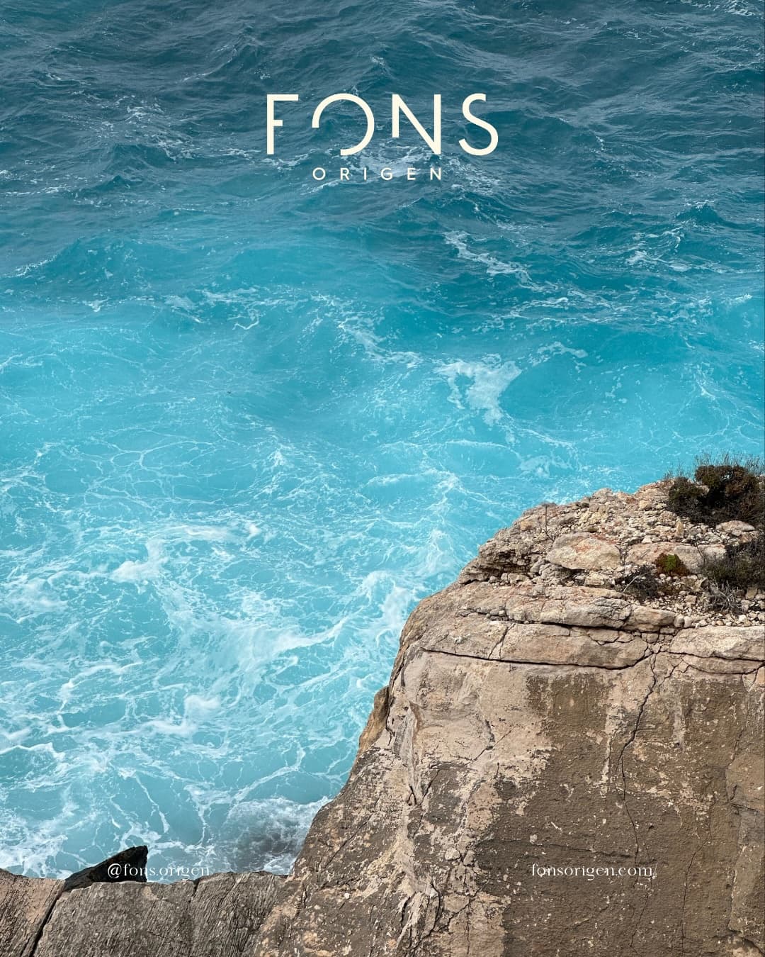 FONS project image 2