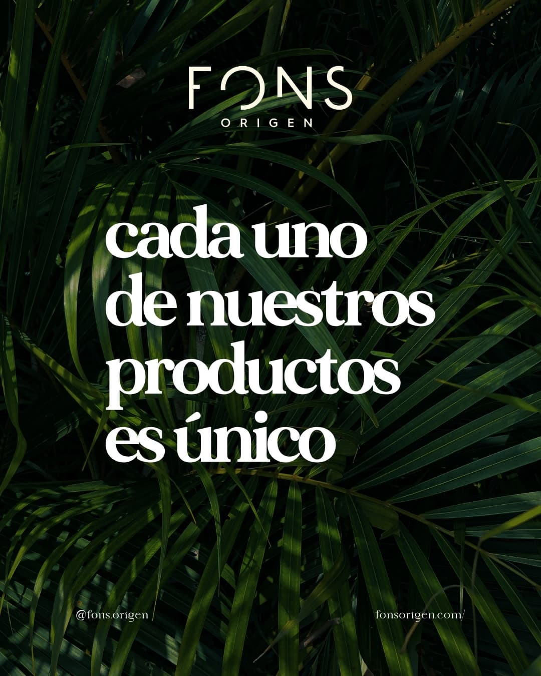 FONS project image 3